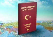 جواز السفر التركي في 2024: دليلك الشامل للحصول على الجنسية التركية خطوات الحصول على الجنسية التركية في 2024