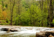 İğneada Nasıl Bir Yer? Doğaseverler Buraya Bayılacak! İğneada Nasıl Bir Yer