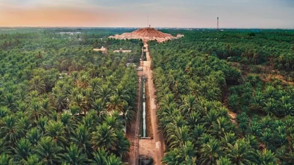صورة لإحدى اجمل المعالم السياحية في السعودية واحة الأحساء