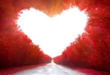 كلام حب وعبارات رومانسية: اقتباسات رومانسية من المشاهير والحكماء كلام حب وعبارات رومانسية: اقتباسات رومانسية من المشاهير والحكماء