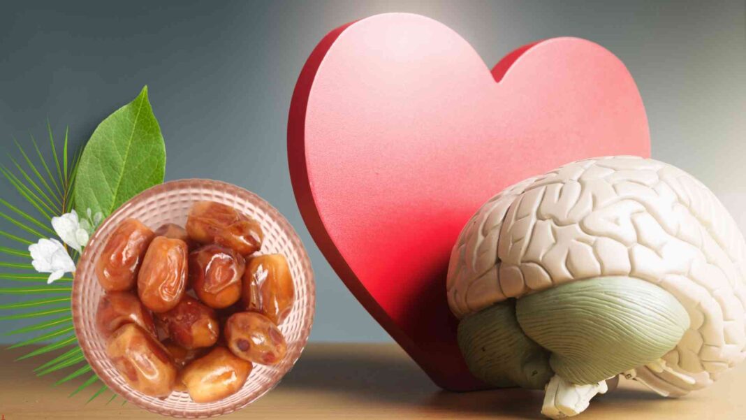 التمر وفوائده لصحة الدماغ وتحسين وظائف الذاكرة.