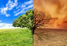 İklim Değişiklikleri İnsan Hayatını Nasıl Etkiler? İklim Değişiklikleri İnsan Hayatını Nasıl Etkiler?