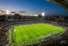 إقالة فلاديمير بيتكوفيتش من تدريب منتخب الجزائر ملعب كرة قدم دولي يعكس أجواء التغييرات الإدارية والفنية في المنتخب الجزائري